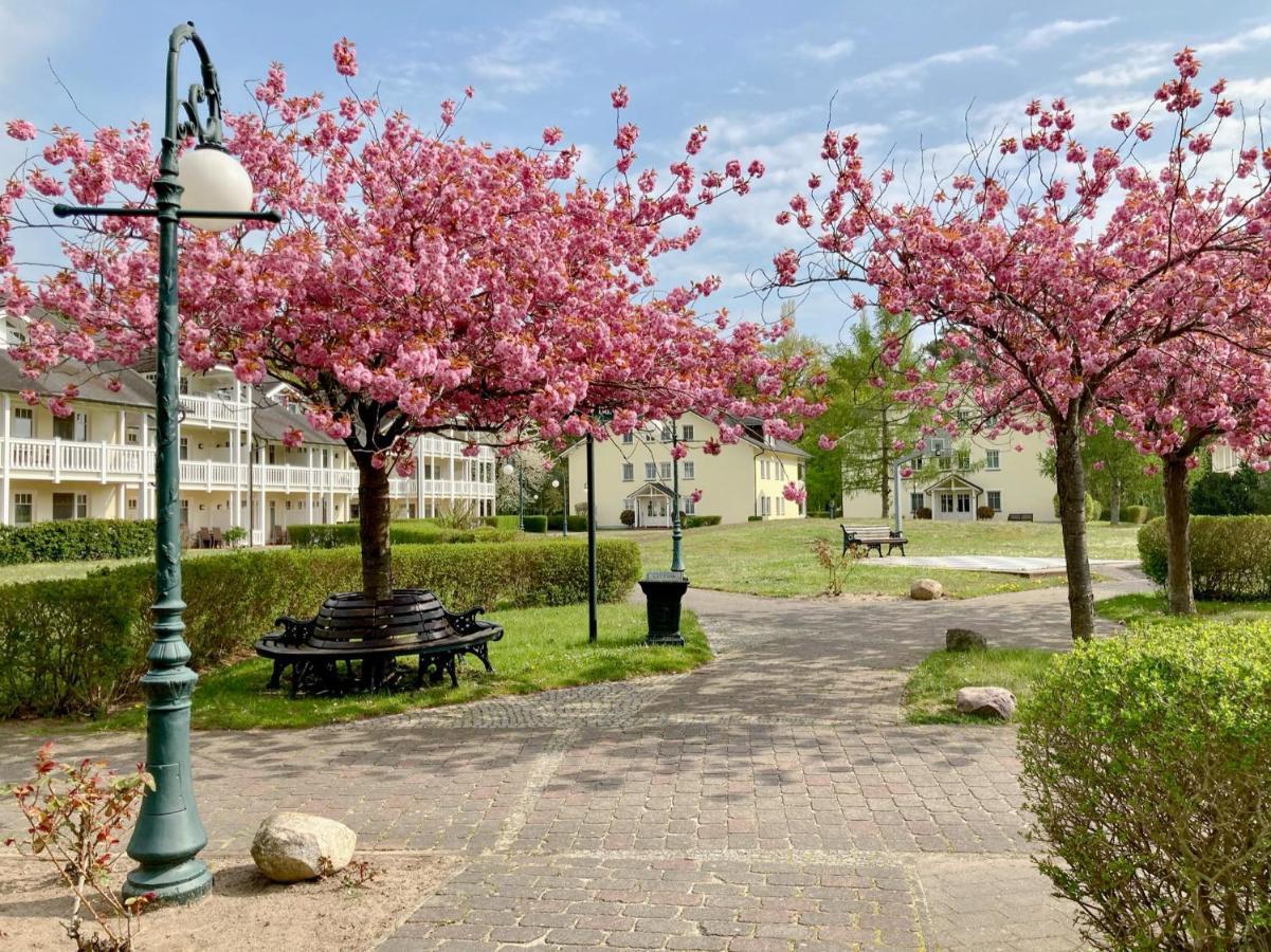 Apartament Duenenpark Binz - Wg 40 "Treibgut" Zewnętrze zdjęcie