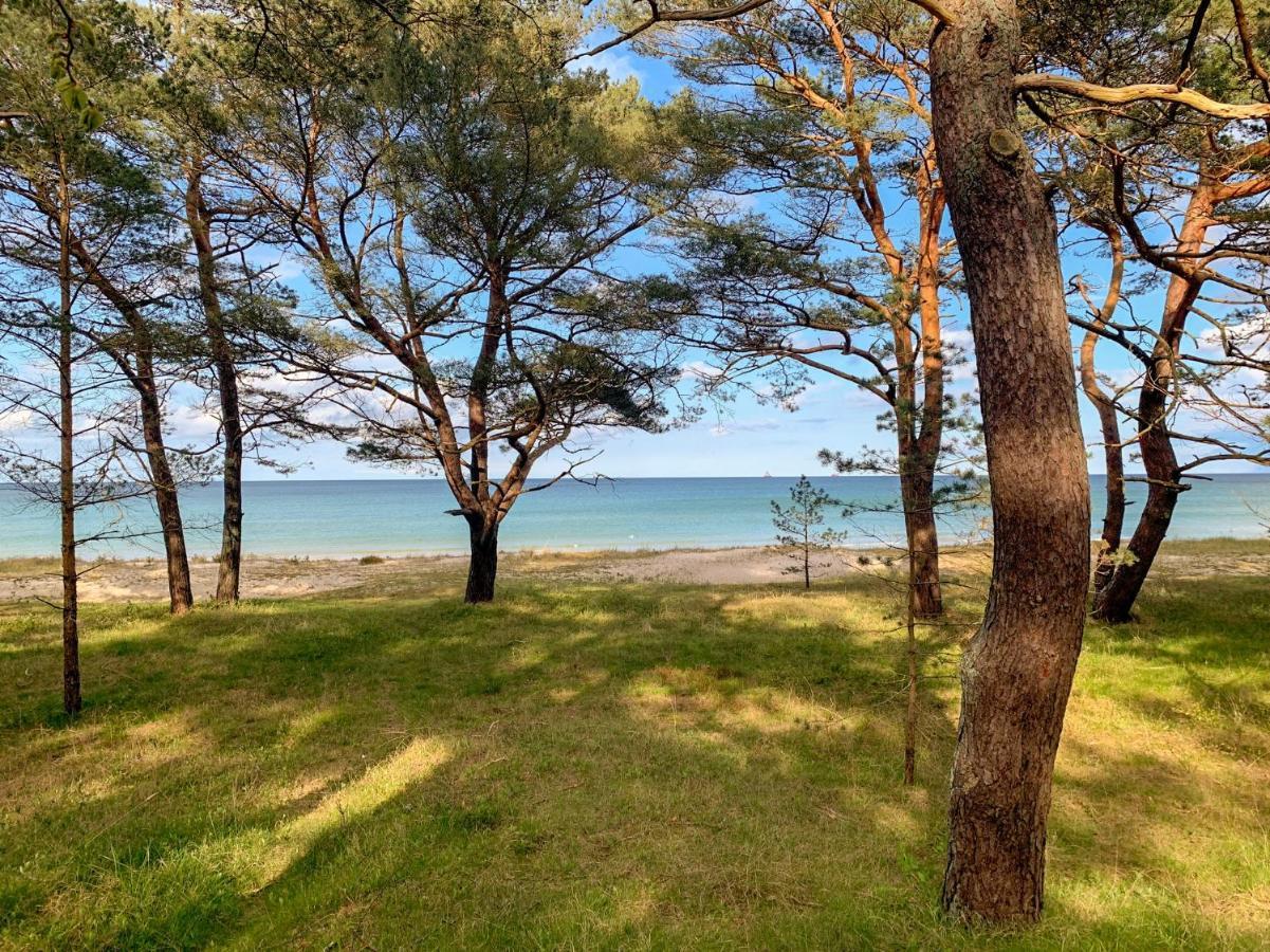 Apartament Duenenpark Binz - Wg 40 "Treibgut" Zewnętrze zdjęcie